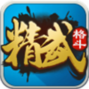 精武格斗
