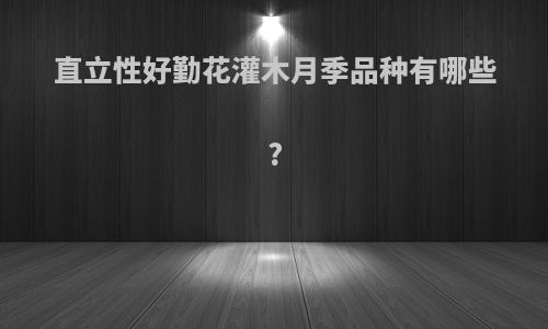 直立性好勤花灌木月季品种有哪些?