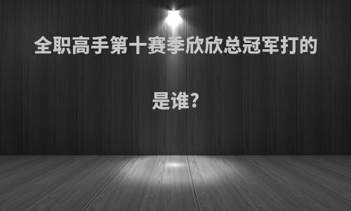 全职高手第十赛季欣欣总冠军打的是谁?