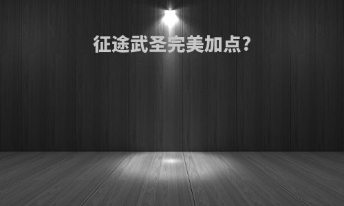 征途武圣完美加点?