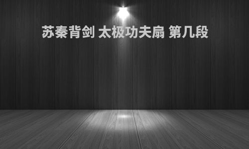 苏秦背剑 太极功夫扇 第几段