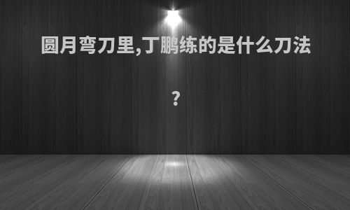 圆月弯刀里,丁鹏练的是什么刀法?