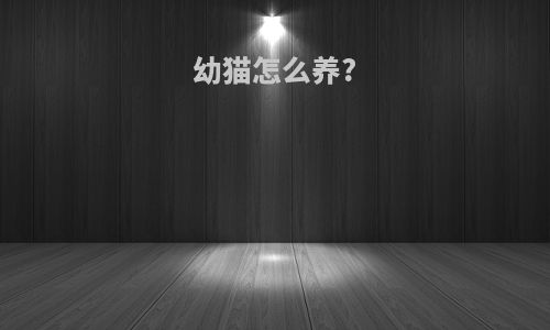 幼猫怎么养?