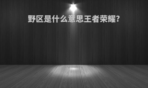野区是什么意思王者荣耀?