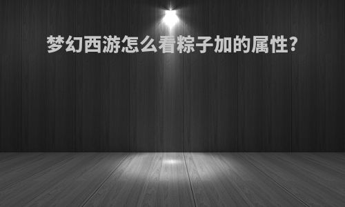 梦幻西游怎么看粽子加的属性?