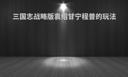 三国志战略版袁绍甘宁程普的玩法