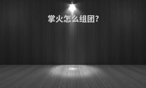 掌火怎么组团?