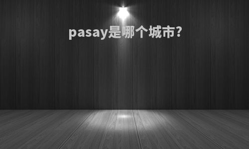 pasay是哪个城市?