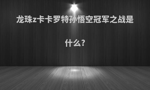 龙珠z卡卡罗特孙悟空冠军之战是什么?