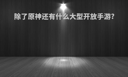 除了原神还有什么大型开放手游?