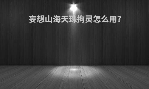 妄想山海天珠拘灵怎么用?