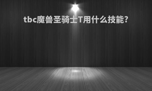 tbc魔兽圣骑士T用什么技能?