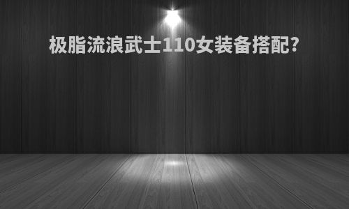 极脂流浪武士110女装备搭配?