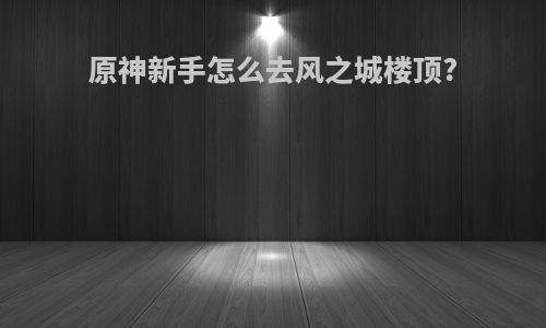 原神新手怎么去风之城楼顶?