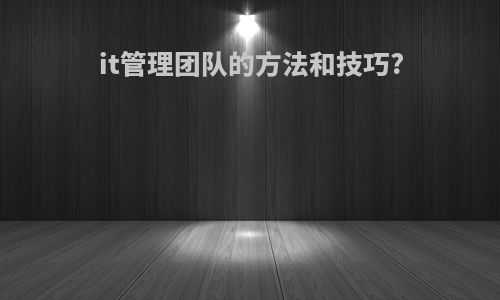 it管理团队的方法和技巧?