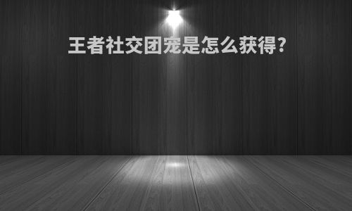 王者社交团宠是怎么获得?