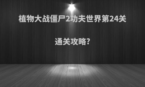 植物大战僵尸2功夫世界第24关通关攻略?