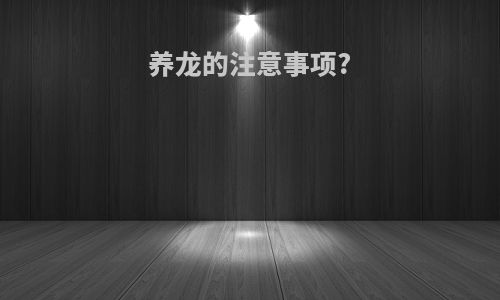 养龙的注意事项?