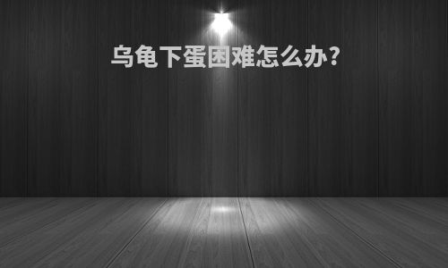 乌龟下蛋困难怎么办?