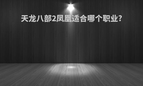 天龙八部2凤凰适合哪个职业?