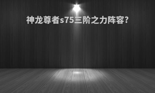 神龙尊者s75三阶之力阵容?