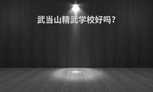 武当山精武学校好吗?