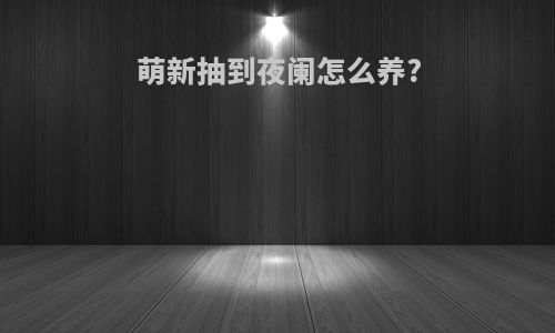萌新抽到夜阑怎么养?