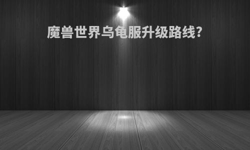 魔兽世界乌龟服升级路线?