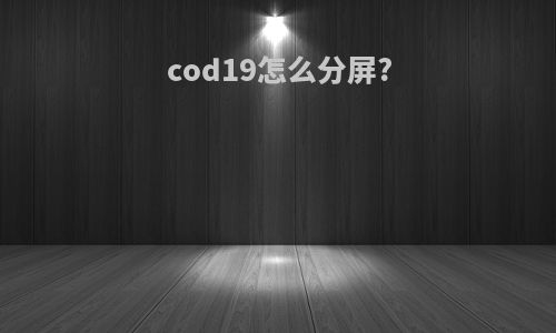 cod19怎么分屏?