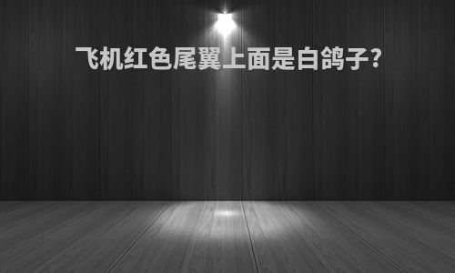 飞机红色尾翼上面是白鸽子?