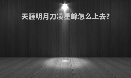 天涯明月刀凌星峰怎么上去?