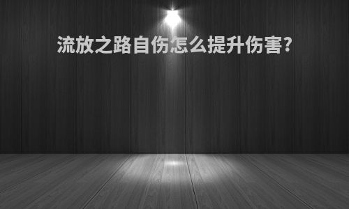 流放之路自伤怎么提升伤害?
