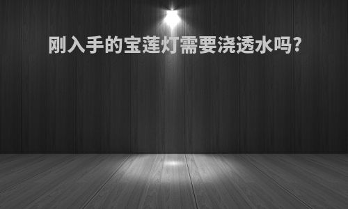 刚入手的宝莲灯需要浇透水吗?