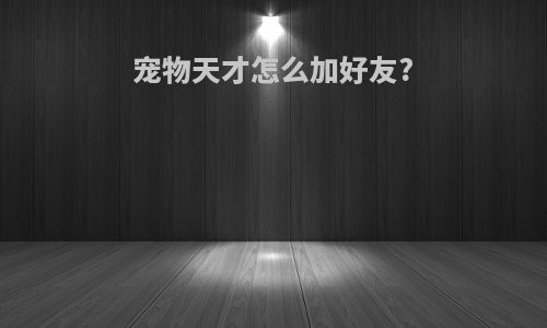 宠物天才怎么加好友?