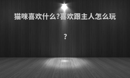 猫咪喜欢什么?喜欢跟主人怎么玩?